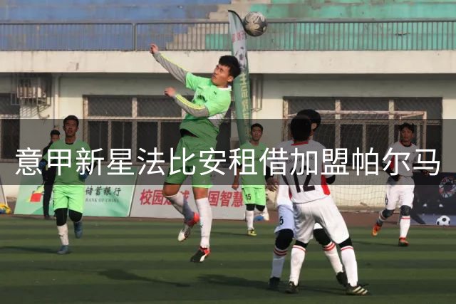意甲新星法比安租借加盟帕尔马
